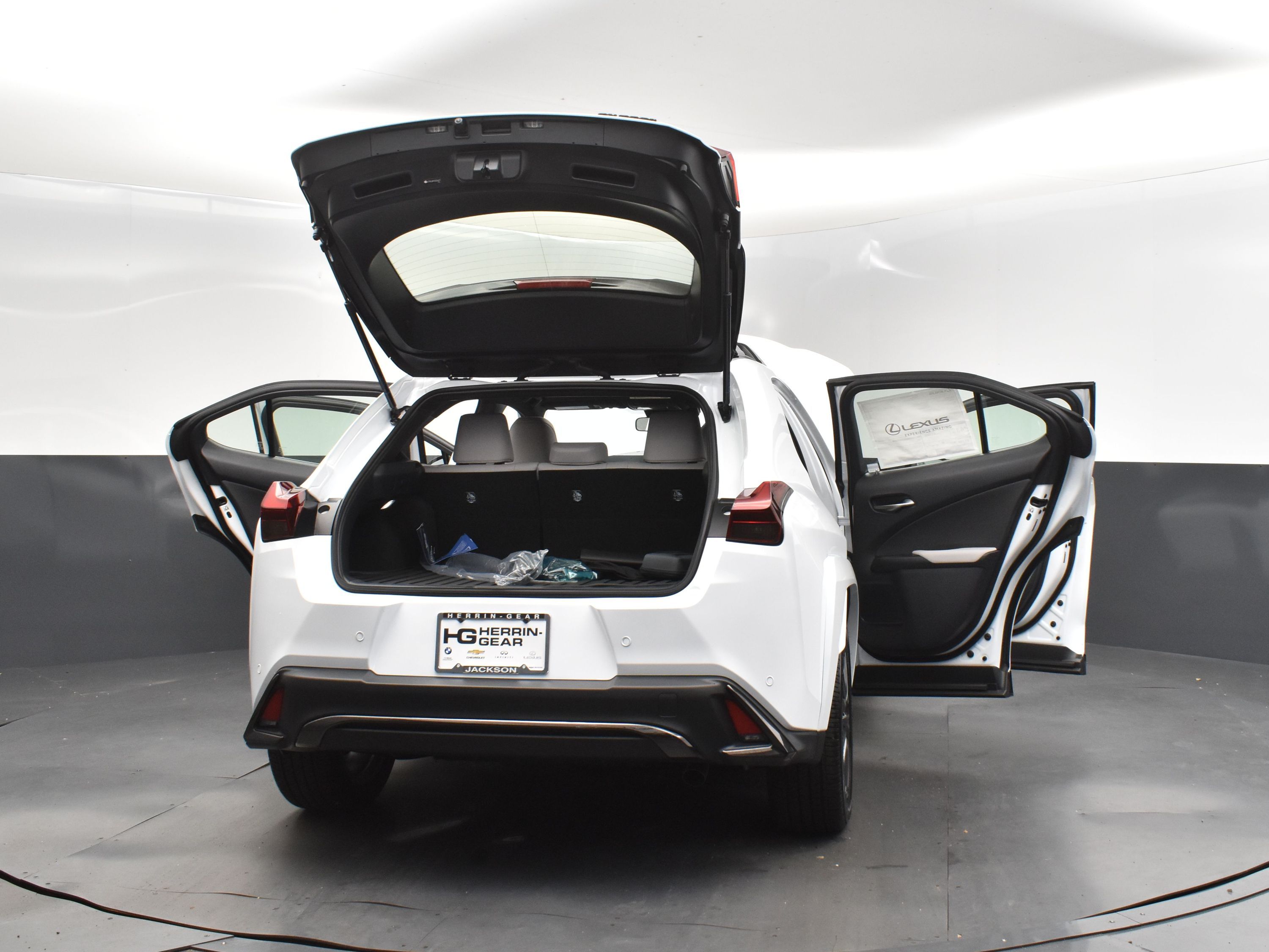 2025 Ultra White with Obsidian Roof Lexus UX 300h F SPORT Design FWD SUV