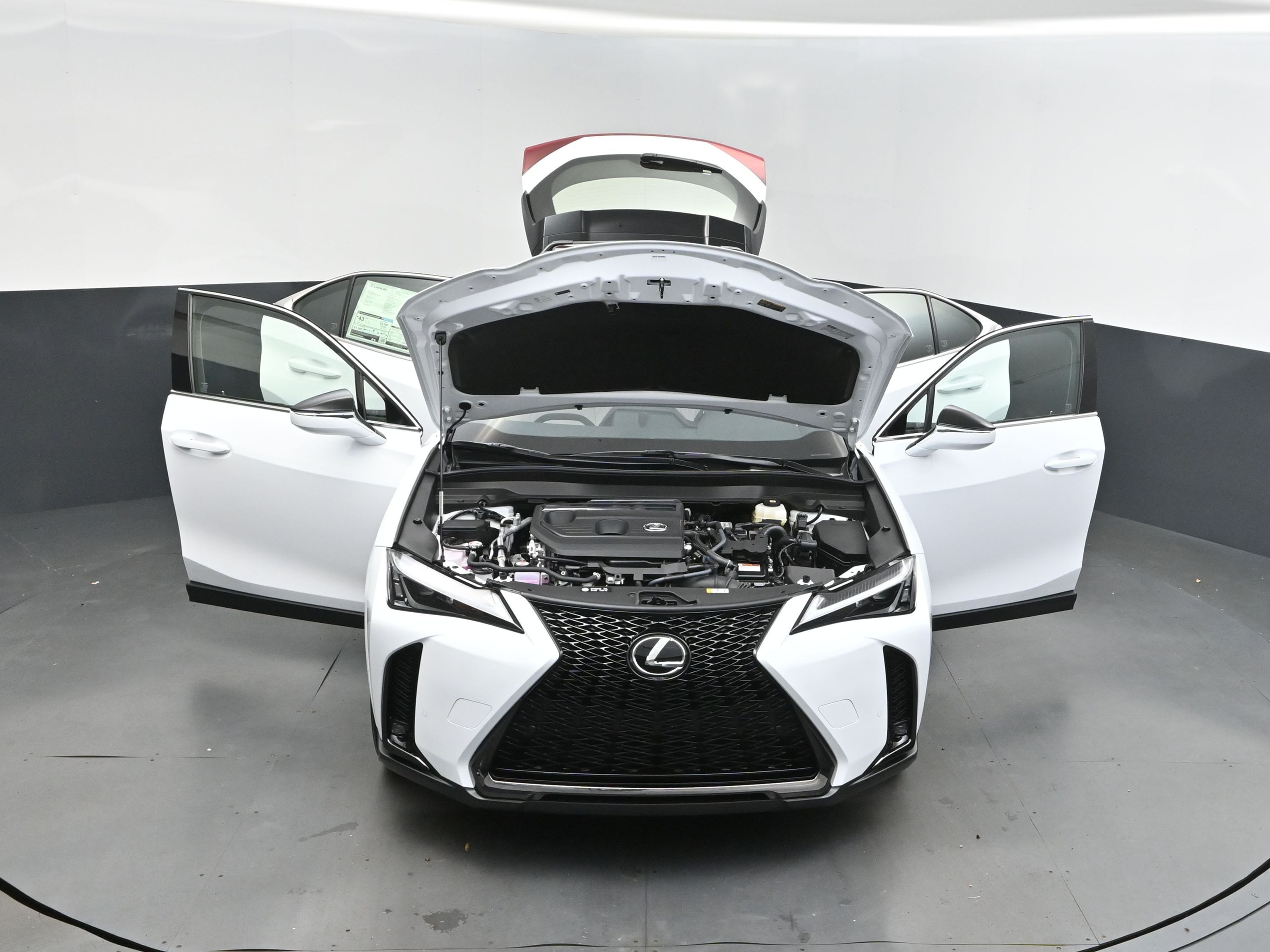 2025 Ultra White with Obsidian Roof Lexus UX 300h F SPORT Design FWD SUV
