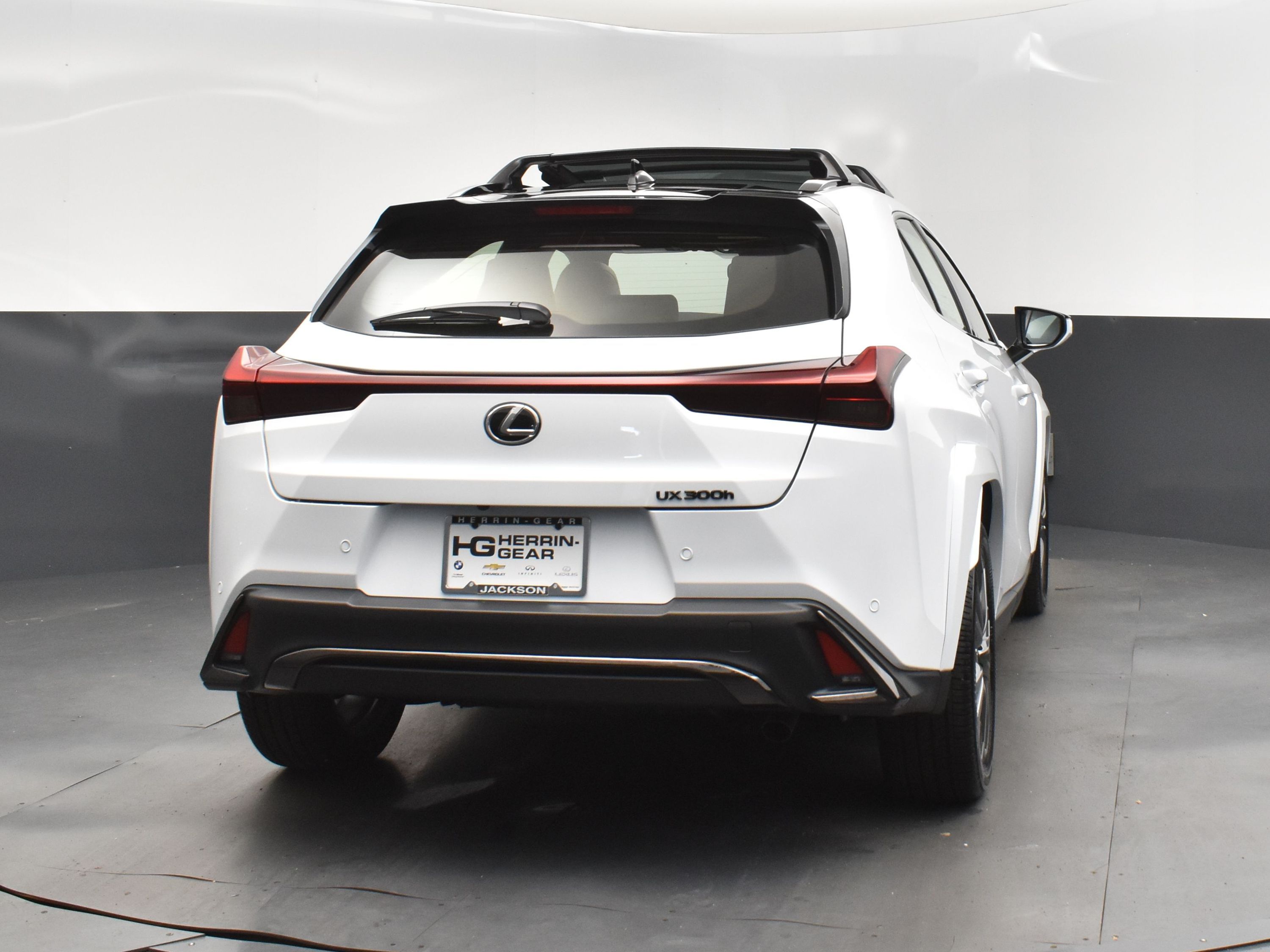 2025 Ultra White with Obsidian Roof Lexus UX 300h F SPORT Design FWD SUV