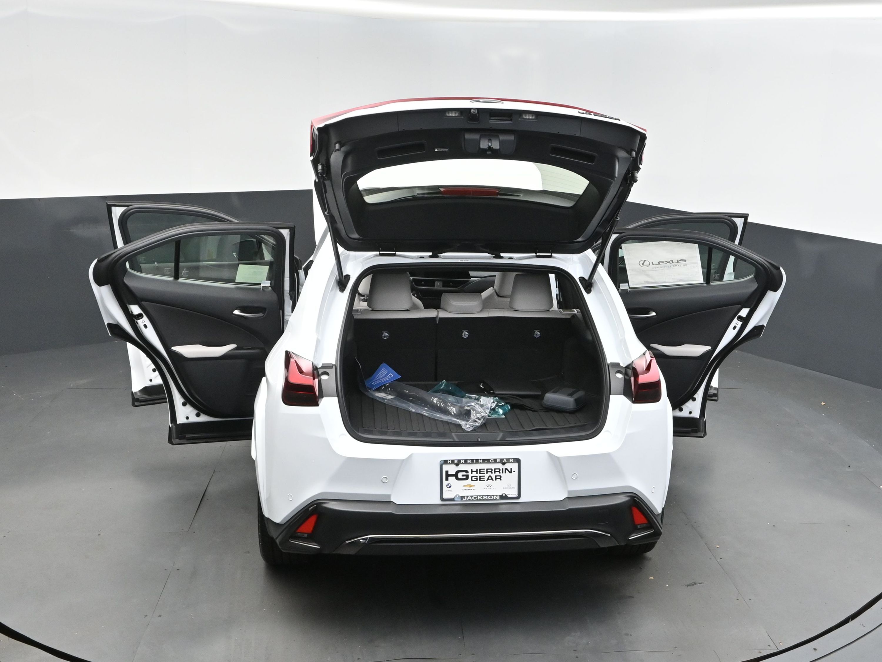2025 Ultra White with Obsidian Roof Lexus UX 300h F SPORT Design FWD SUV