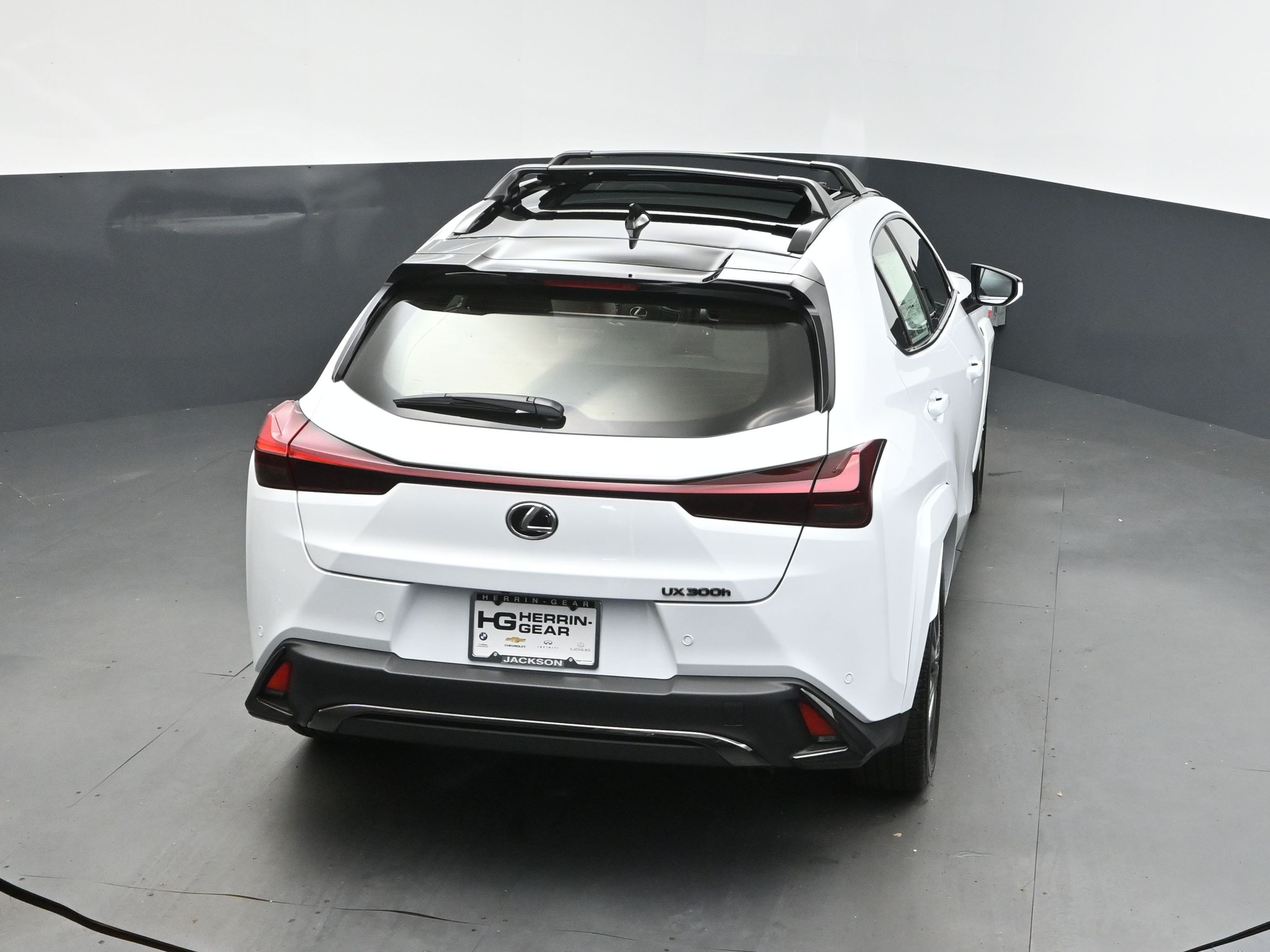 2025 Ultra White with Obsidian Roof Lexus UX 300h F SPORT Design FWD SUV
