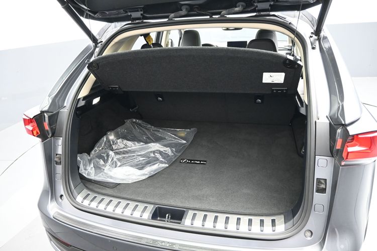 2021 Lexus NX NX 300h Luxury